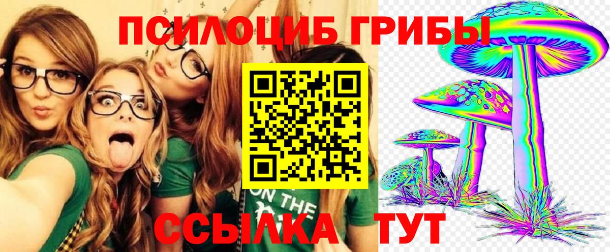 Богданович  Псилоцибиновые грибы Psilocybine cubensis  дарнет шоп  Вход с VPN  Псилоцибиновые грибы мицелий 